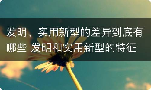 发明、实用新型的差异到底有哪些 发明和实用新型的特征