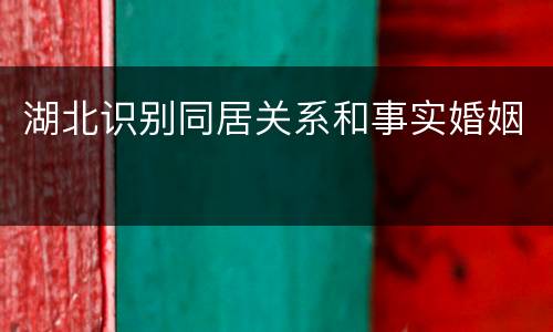 湖北识别同居关系和事实婚姻