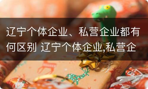 辽宁个体企业、私营企业都有何区别 辽宁个体企业,私营企业都有何区别呢