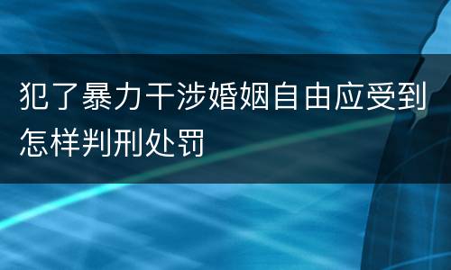 犯了暴力干涉婚姻自由应受到怎样判刑处罚