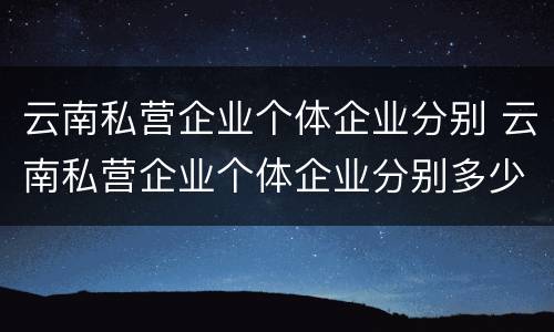 云南私营企业个体企业分别 云南私营企业个体企业分别多少家