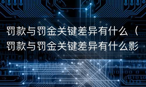 罚款与罚金关键差异有什么（罚款与罚金关键差异有什么影响）