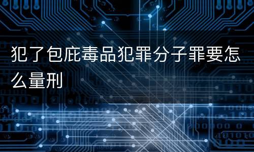 犯了包庇毒品犯罪分子罪要怎么量刑