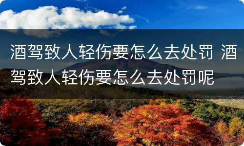 酒驾致人轻伤要怎么去处罚 酒驾致人轻伤要怎么去处罚呢