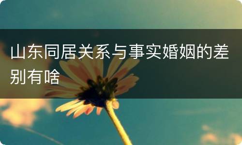 山东同居关系与事实婚姻的差别有啥