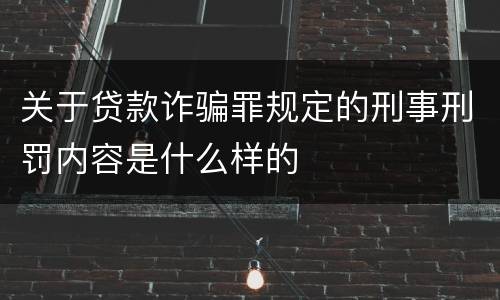 关于贷款诈骗罪规定的刑事刑罚内容是什么样的