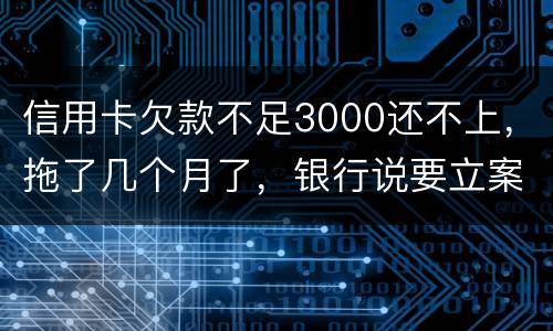 信用卡欠款不足3000还不上，拖了几个月了，银行说要立案，会坐牢吗