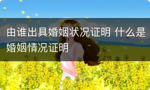 由谁出具婚姻状况证明 什么是婚姻情况证明