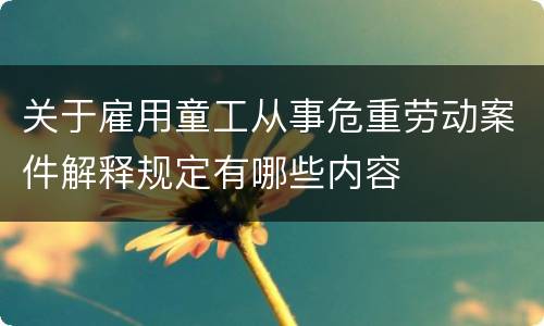 关于雇用童工从事危重劳动案件解释规定有哪些内容