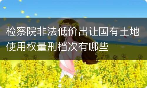 检察院非法低价出让国有土地使用权量刑档次有哪些