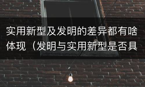 实用新型及发明的差异都有啥体现（发明与实用新型是否具有实用性）