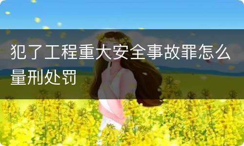 犯了工程重大安全事故罪怎么量刑处罚