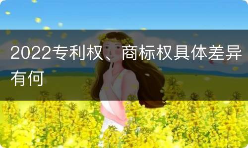 2022专利权、商标权具体差异有何