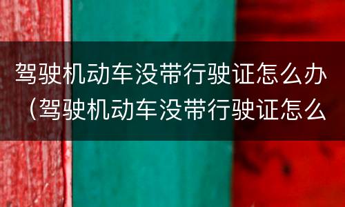驾驶机动车没带行驶证怎么办（驾驶机动车没带行驶证怎么办手续）