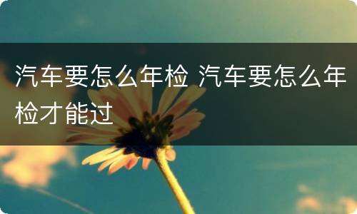 汽车要怎么年检 汽车要怎么年检才能过