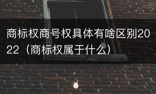 商标权商号权具体有啥区别2022（商标权属于什么）