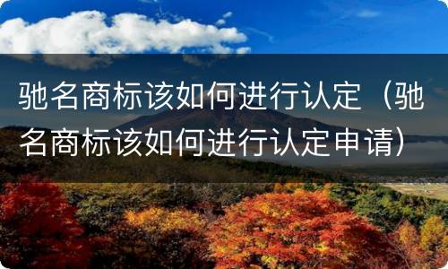 驰名商标该如何进行认定（驰名商标该如何进行认定申请）