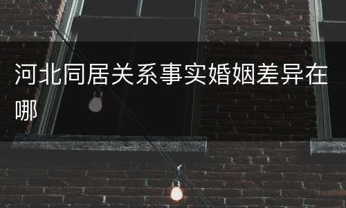 河北同居关系事实婚姻差异在哪