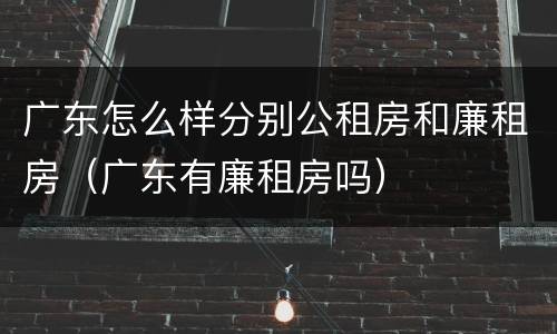 广东怎么样分别公租房和廉租房（广东有廉租房吗）