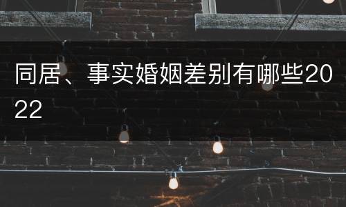 同居、事实婚姻差别有哪些2022
