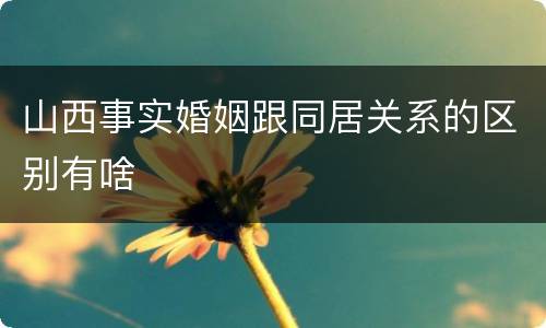 山西事实婚姻跟同居关系的区别有啥