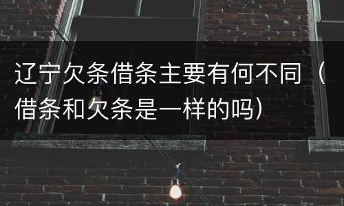 辽宁欠条借条主要有何不同（借条和欠条是一样的吗）