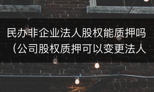 民办非企业法人股权能质押吗（公司股权质押可以变更法人吗）