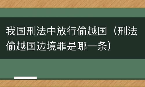 我国刑法中放行偷越国（刑法偷越国边境罪是哪一条）