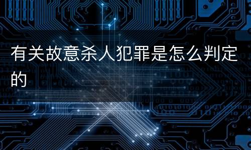 有关故意杀人犯罪是怎么判定的