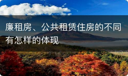 廉租房、公共租赁住房的不同有怎样的体现