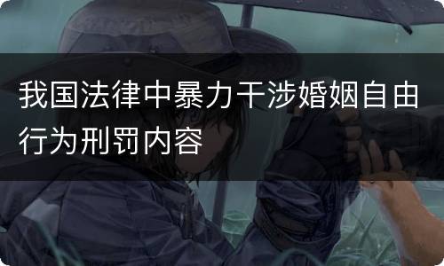 我国法律中暴力干涉婚姻自由行为刑罚内容