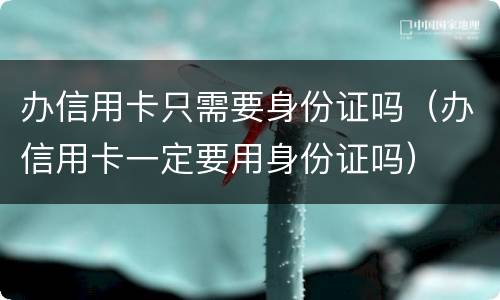 办信用卡只需要身份证吗（办信用卡一定要用身份证吗）