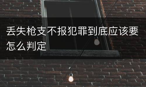 丢失枪支不报犯罪到底应该要怎么判定