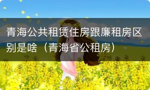 青海公共租赁住房跟廉租房区别是啥（青海省公租房）