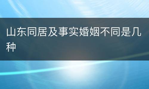 山东同居及事实婚姻不同是几种