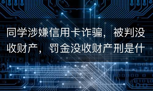 同学涉嫌信用卡诈骗，被判没收财产，罚金没收财产刑是什么