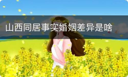 山西同居事实婚姻差异是啥
