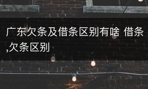 广东欠条及借条区别有啥 借条,欠条区别