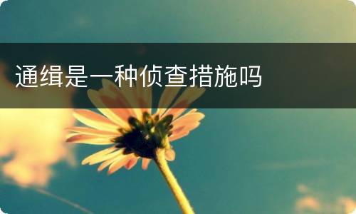 通缉是一种侦查措施吗