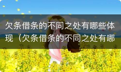 欠条借条的不同之处有哪些体现（欠条借条的不同之处有哪些体现呢）