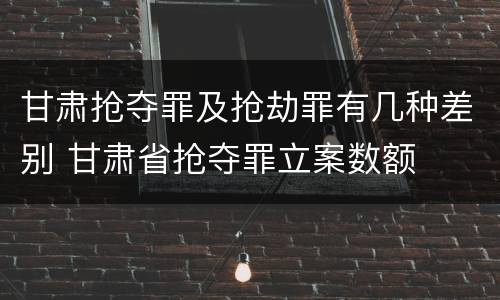 甘肃抢夺罪及抢劫罪有几种差别 甘肃省抢夺罪立案数额