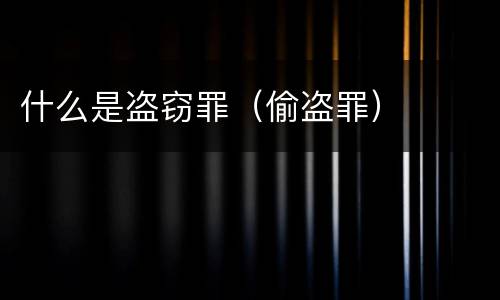 什么是盗窃罪（偷盗罪）