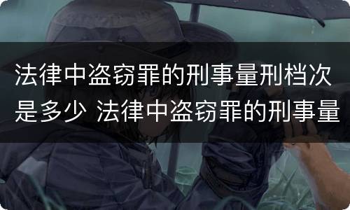 法律中盗窃罪的刑事量刑档次是多少 法律中盗窃罪的刑事量刑档次是多少级