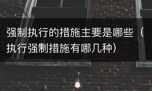 强制执行的措施主要是哪些（执行强制措施有哪几种）