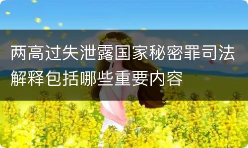 两高过失泄露国家秘密罪司法解释包括哪些重要内容