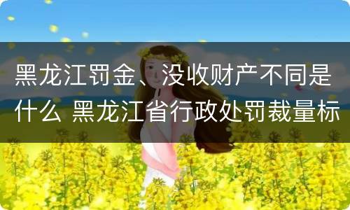 黑龙江罚金、没收财产不同是什么 黑龙江省行政处罚裁量标准