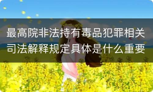 最高院非法持有毒品犯罪相关司法解释规定具体是什么重要内容