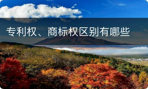专利权、商标权区别有哪些