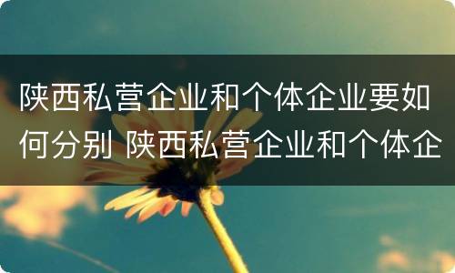 陕西私营企业和个体企业要如何分别 陕西私营企业和个体企业要如何分别交社保