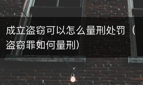 成立盗窃可以怎么量刑处罚（盗窃罪如何量刑）